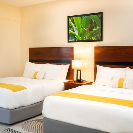 The West House Boutique Hotel San Ignacio Dış mekan fotoğraf